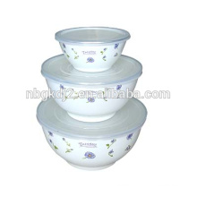 most beautiful bowl sets with decal and plastic lid